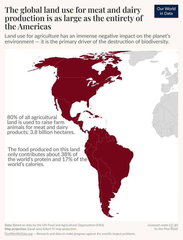 Visual representation of land use for producing food for livestock.